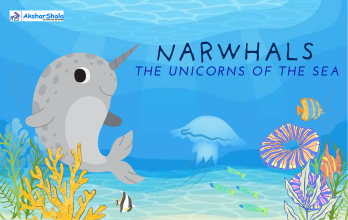 NARWHALS
