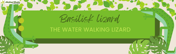 BASILISK LIZARD