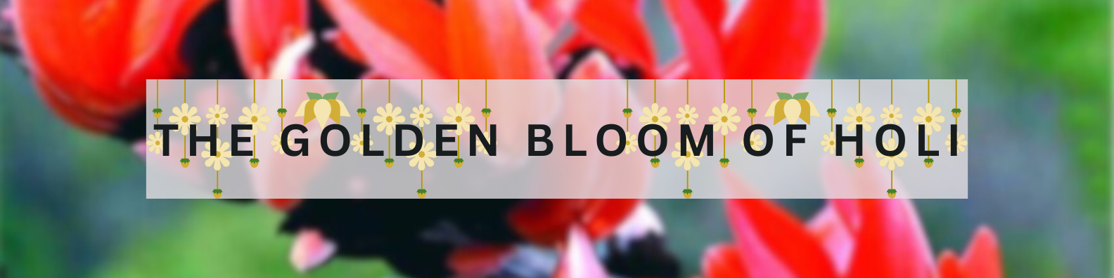 THE GOLDEN BLOOM OF HOLI