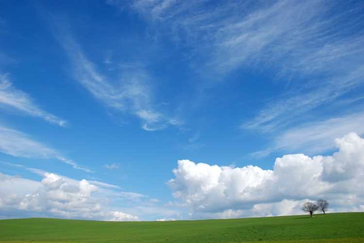 WHY IS THE SKY BLUE?