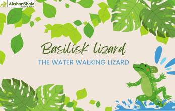 BASILISK LIZARD